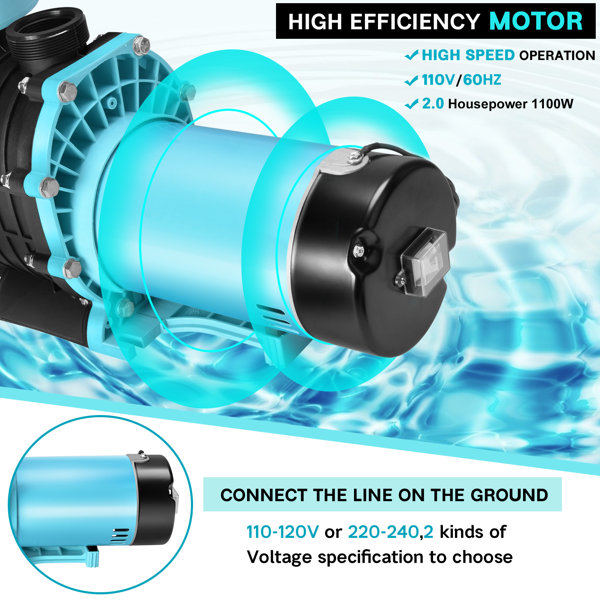 Arlmont & Co. 2 HP High Flow Dual Voltage Pool Pump with Strainer Basket Wayfair